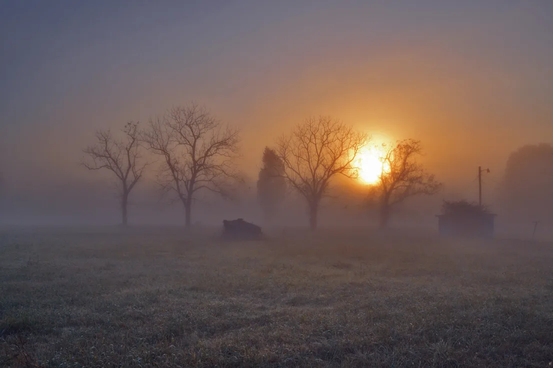 Sunrise 1