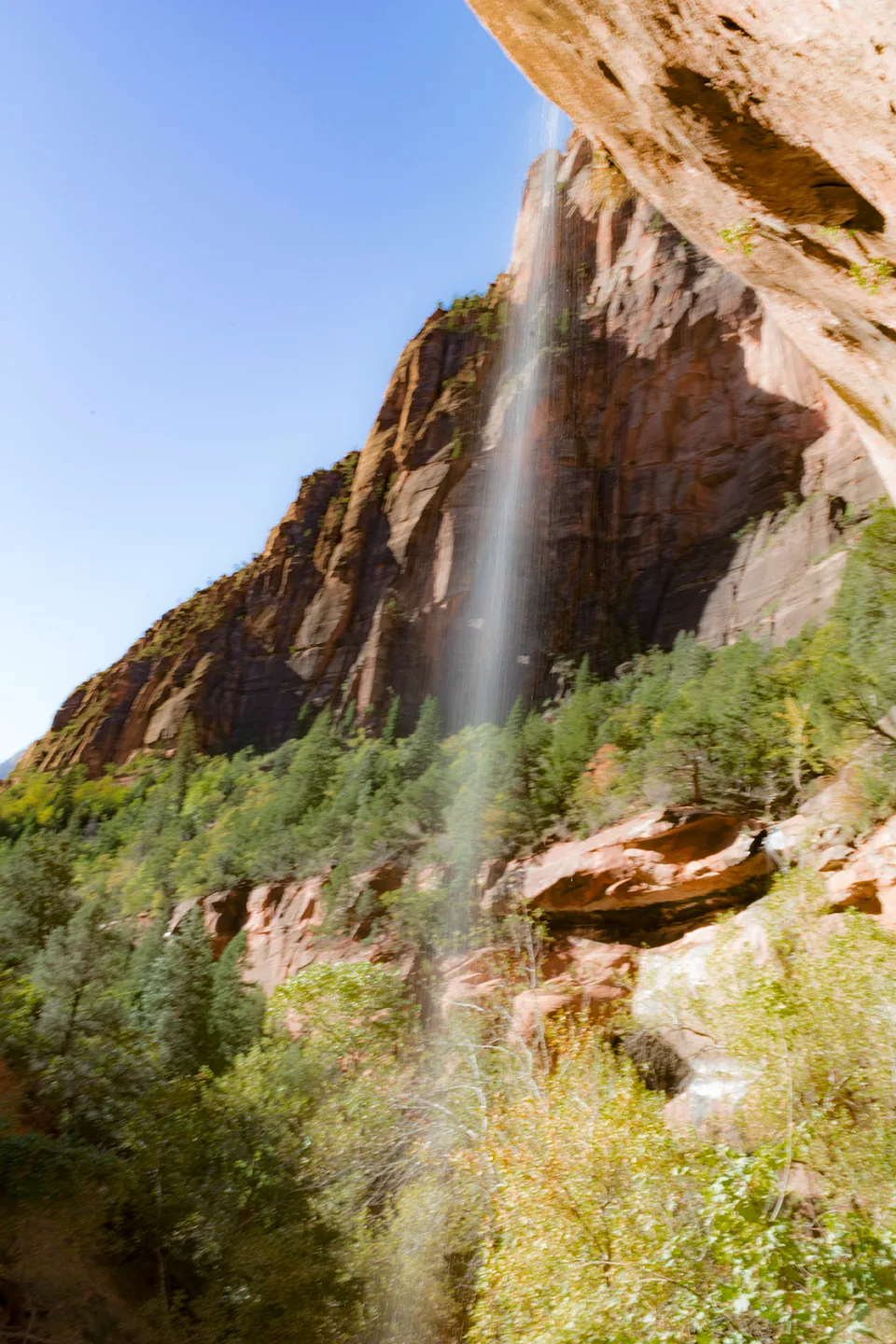 Zion 11