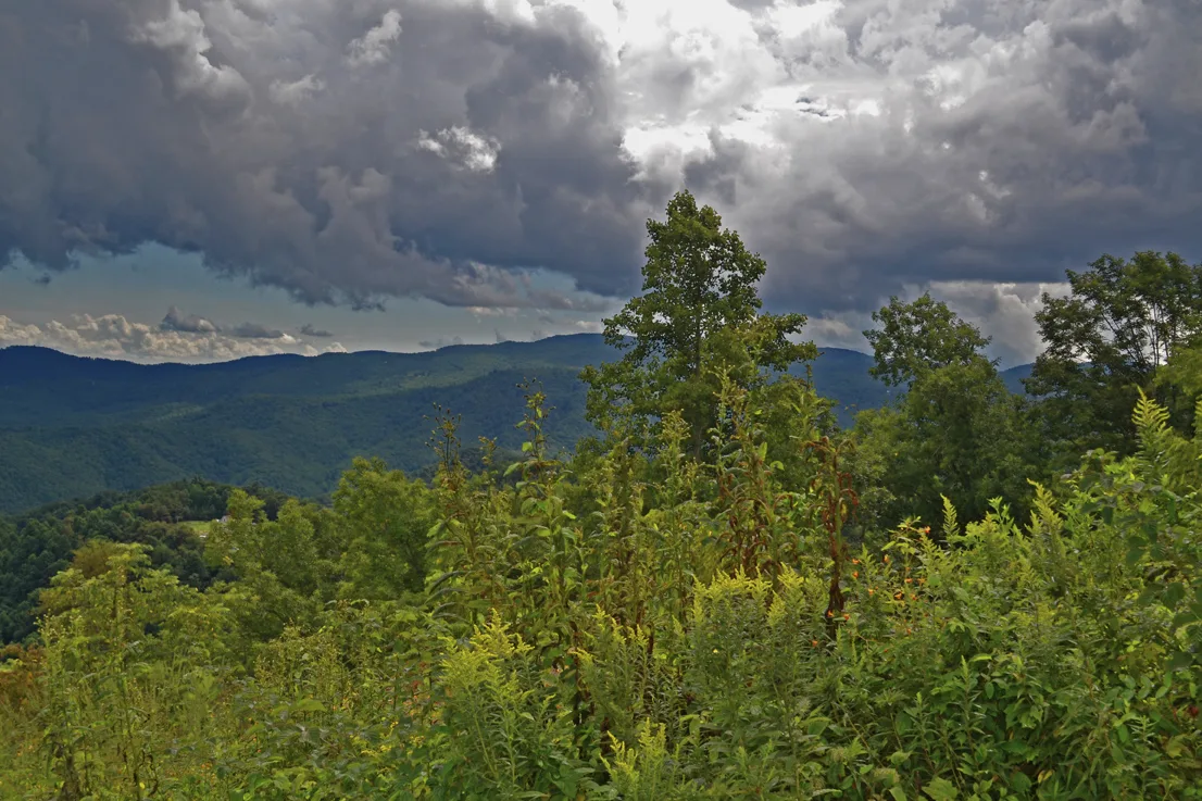 Blueridge Parkway 2
