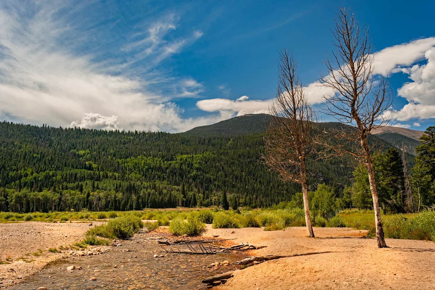Estes 2