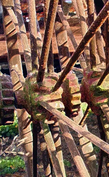 Spokes And Hub 1