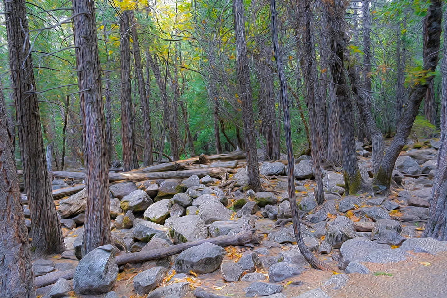 Yosemite 54
