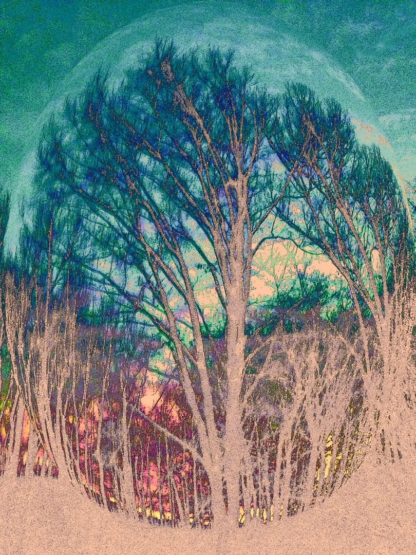Graphic trees