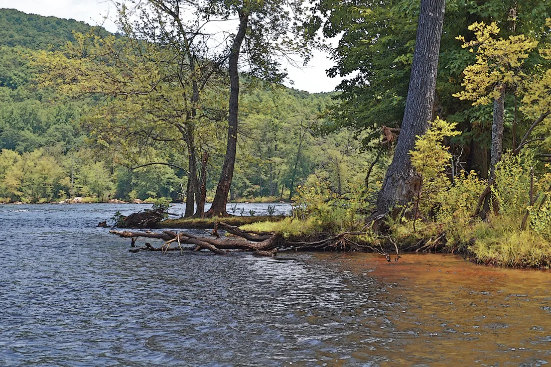 Yadkin-Peedee 26