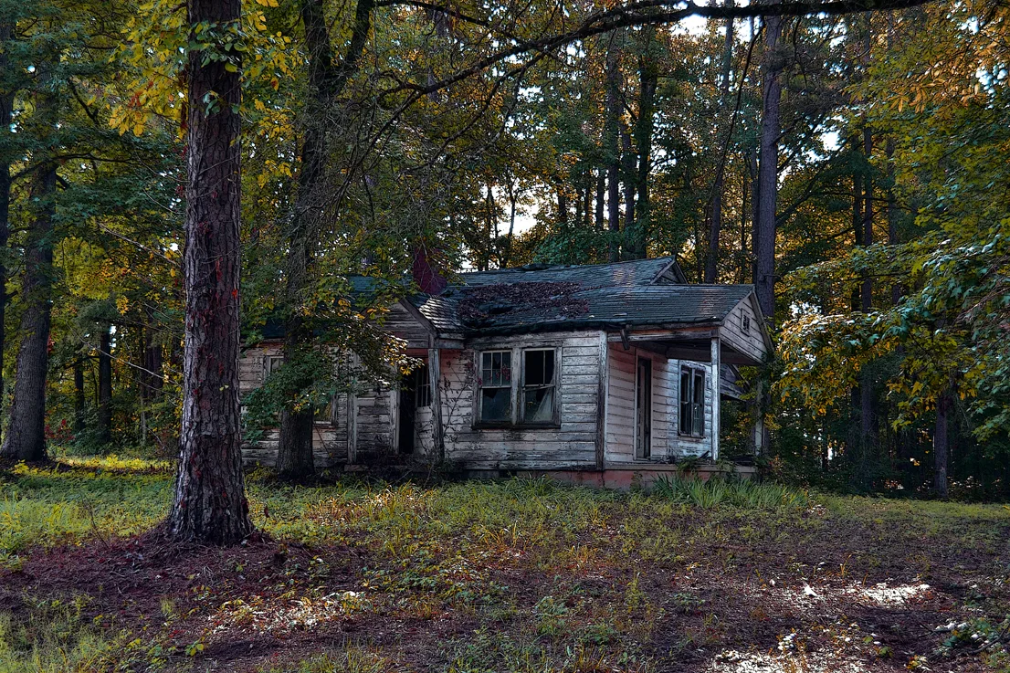 Davie County