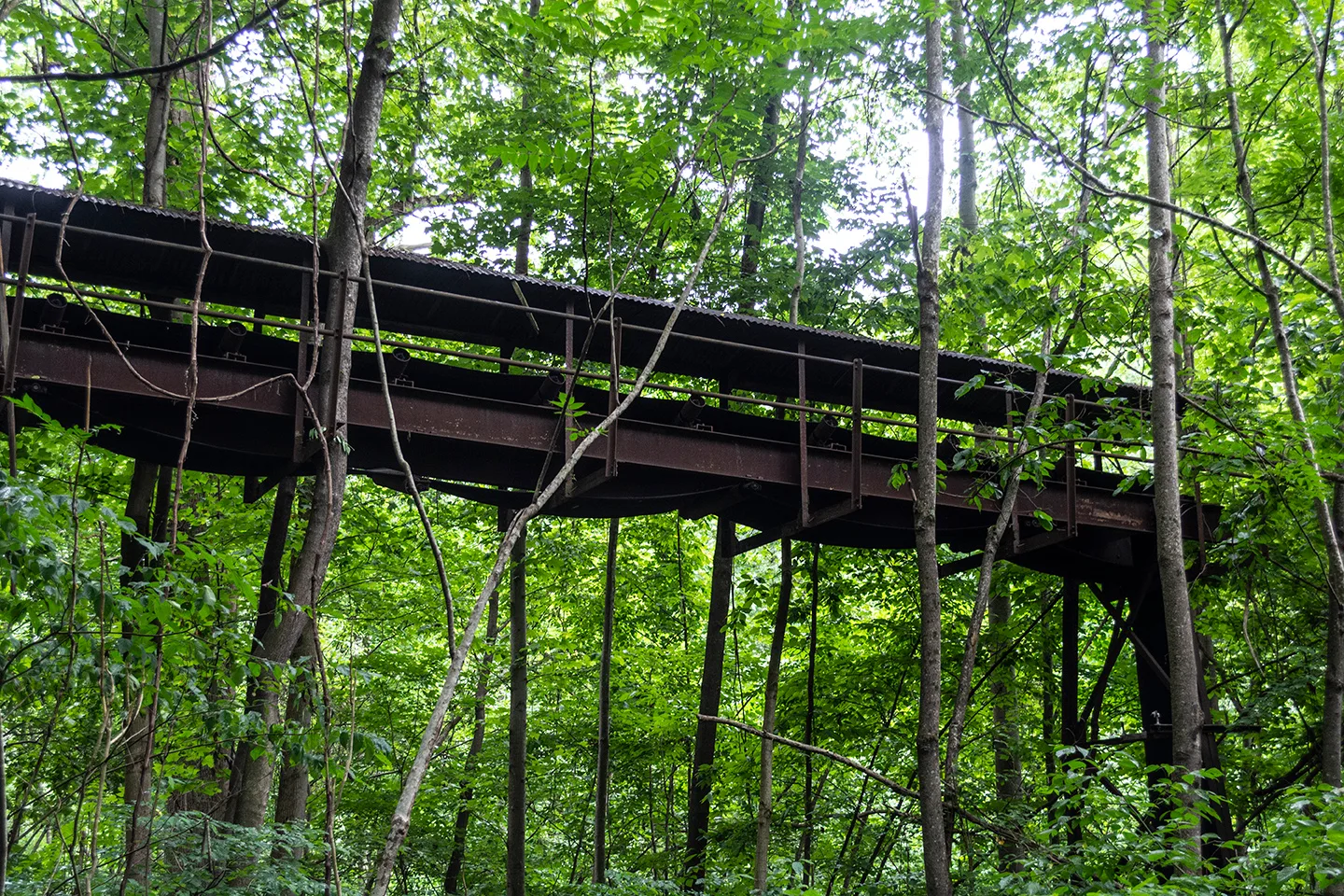 Kaymoor 12