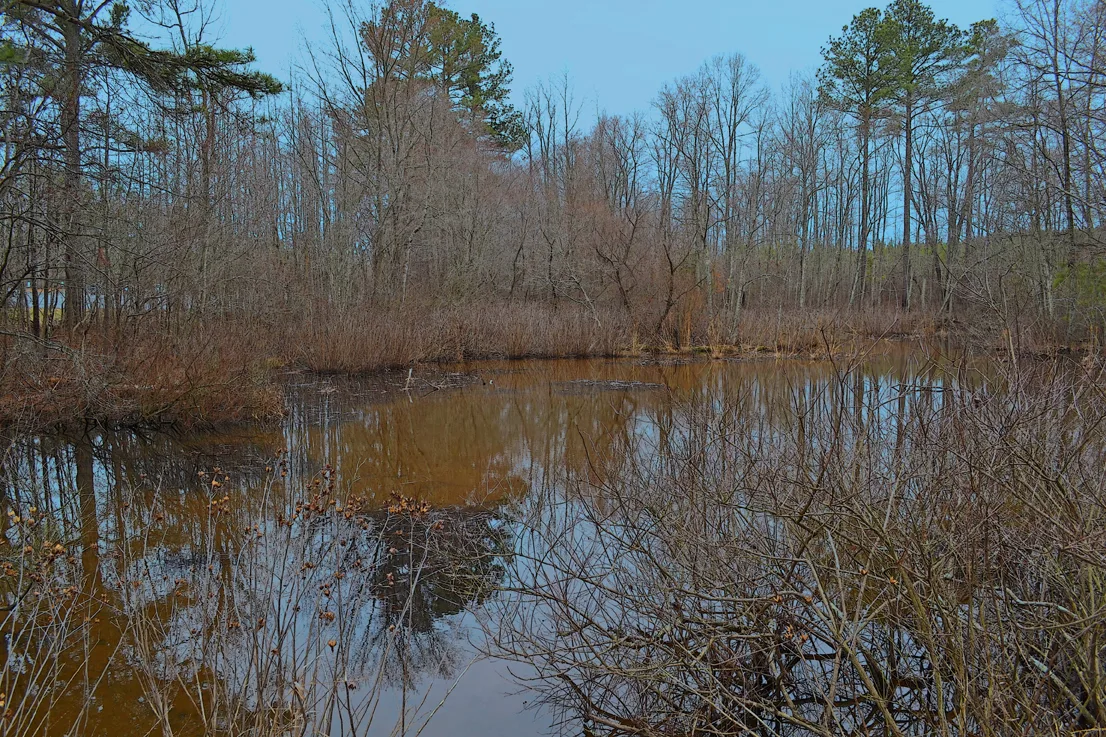 Wildlife Access 6