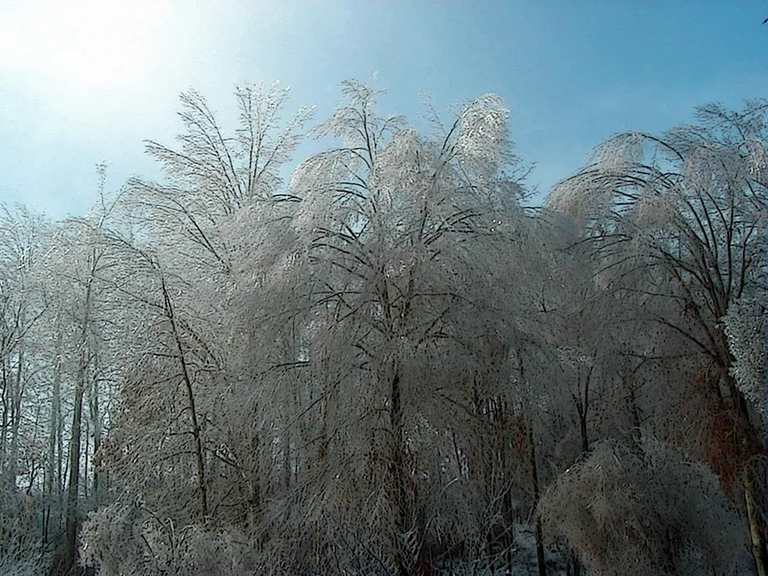 Ice Storm Remake 3