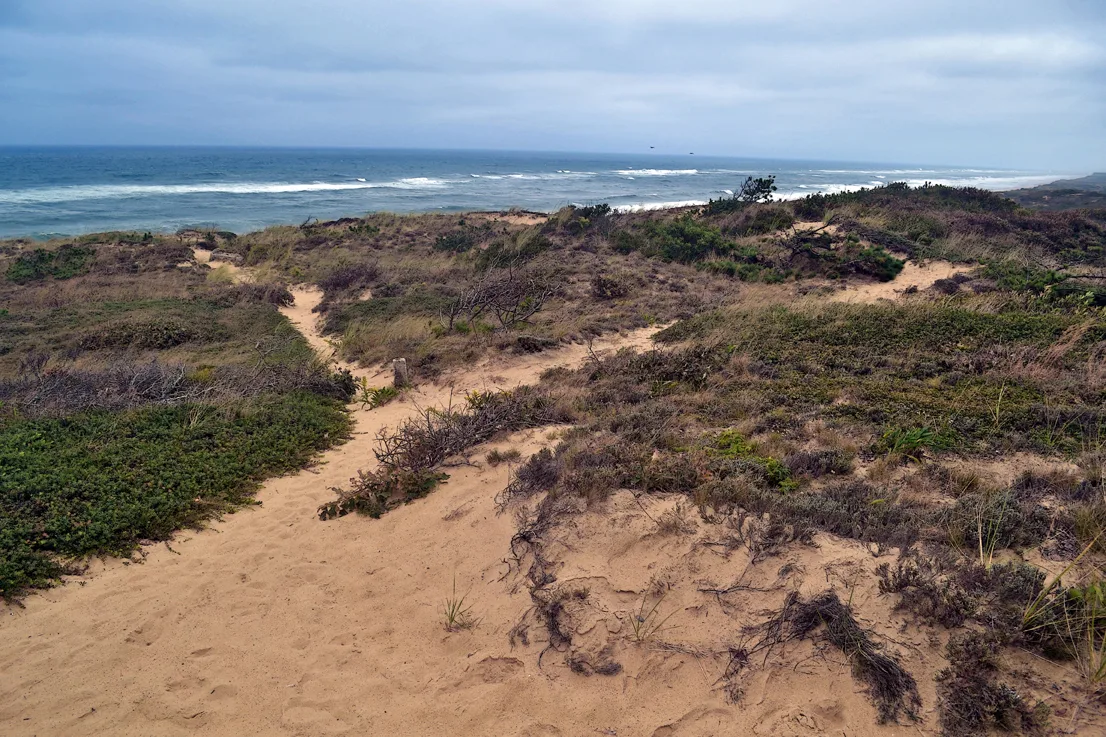 Cape Cod 1
