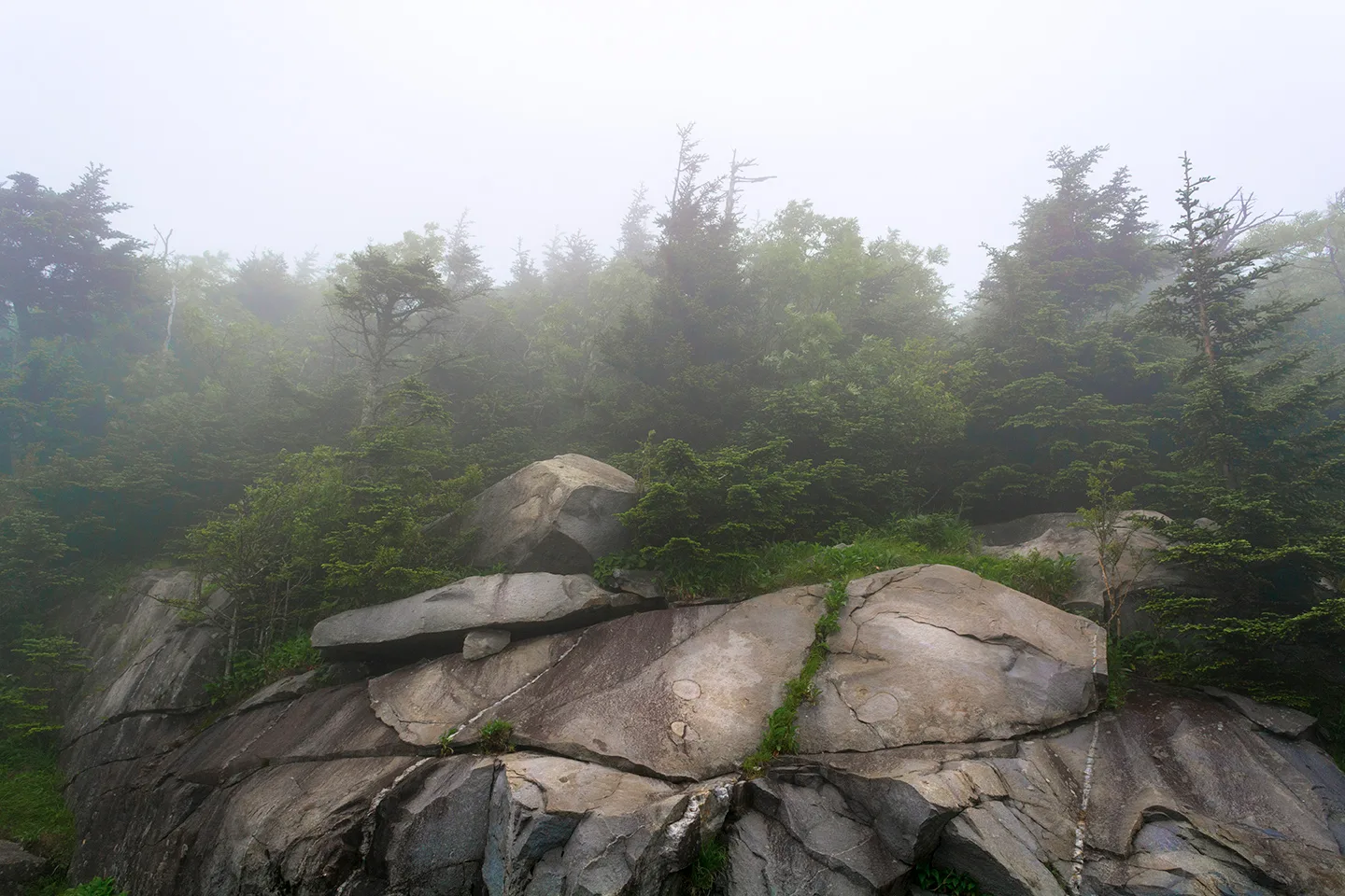 Clingmansdome 6