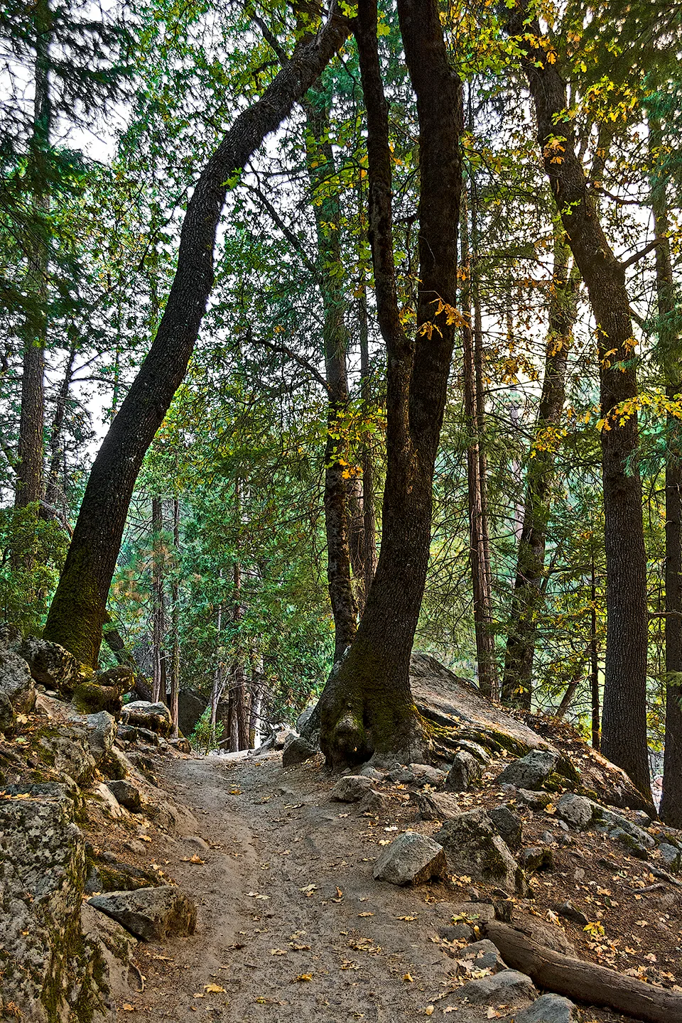 Yosemite 62
