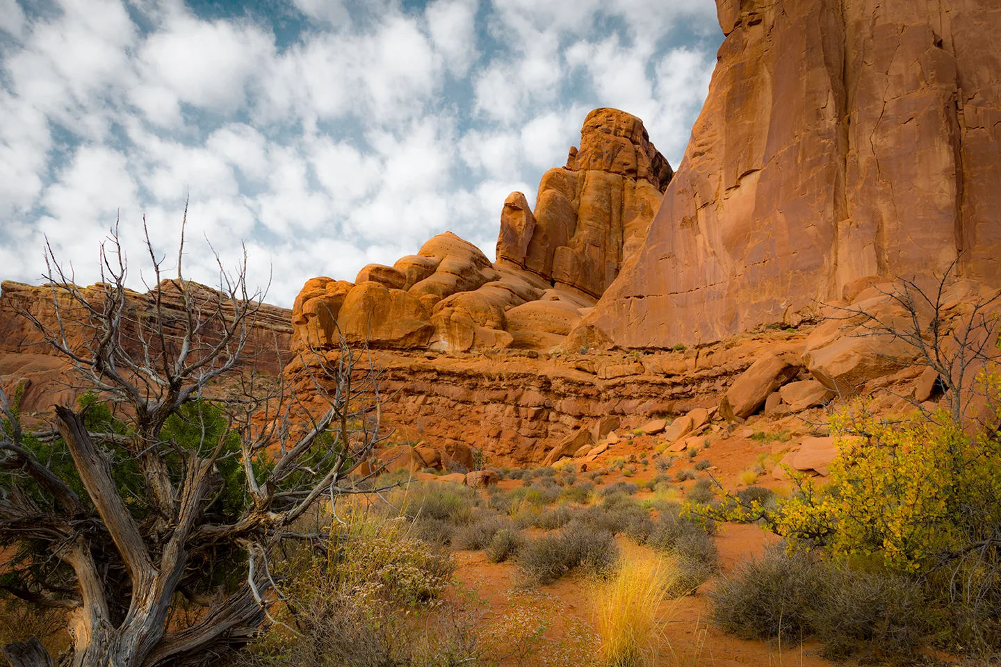 Arches 2