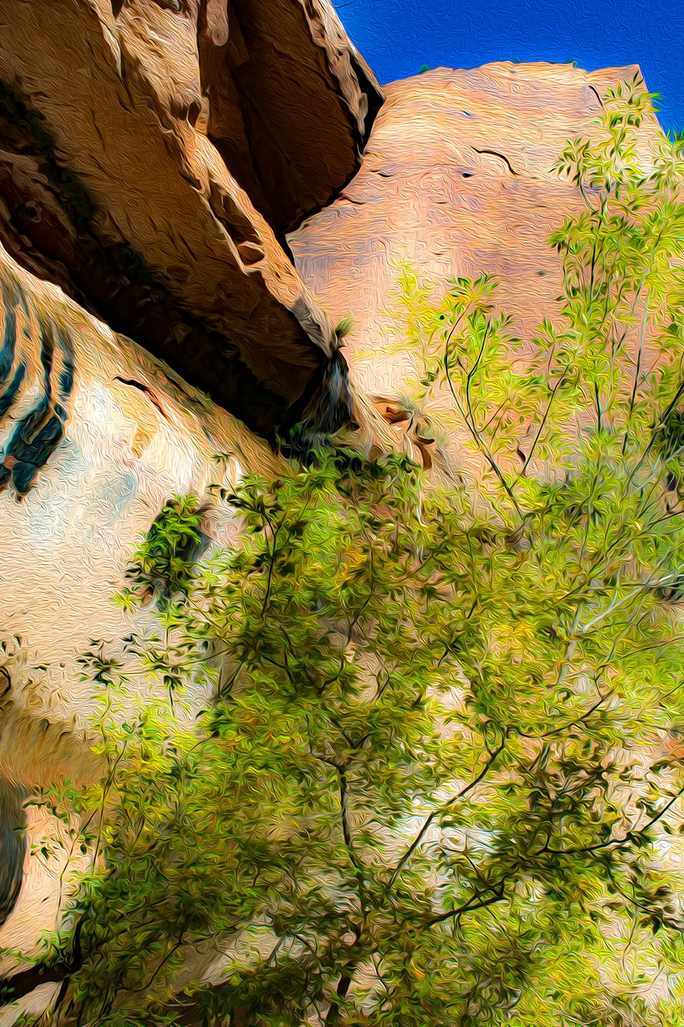 Zion 6