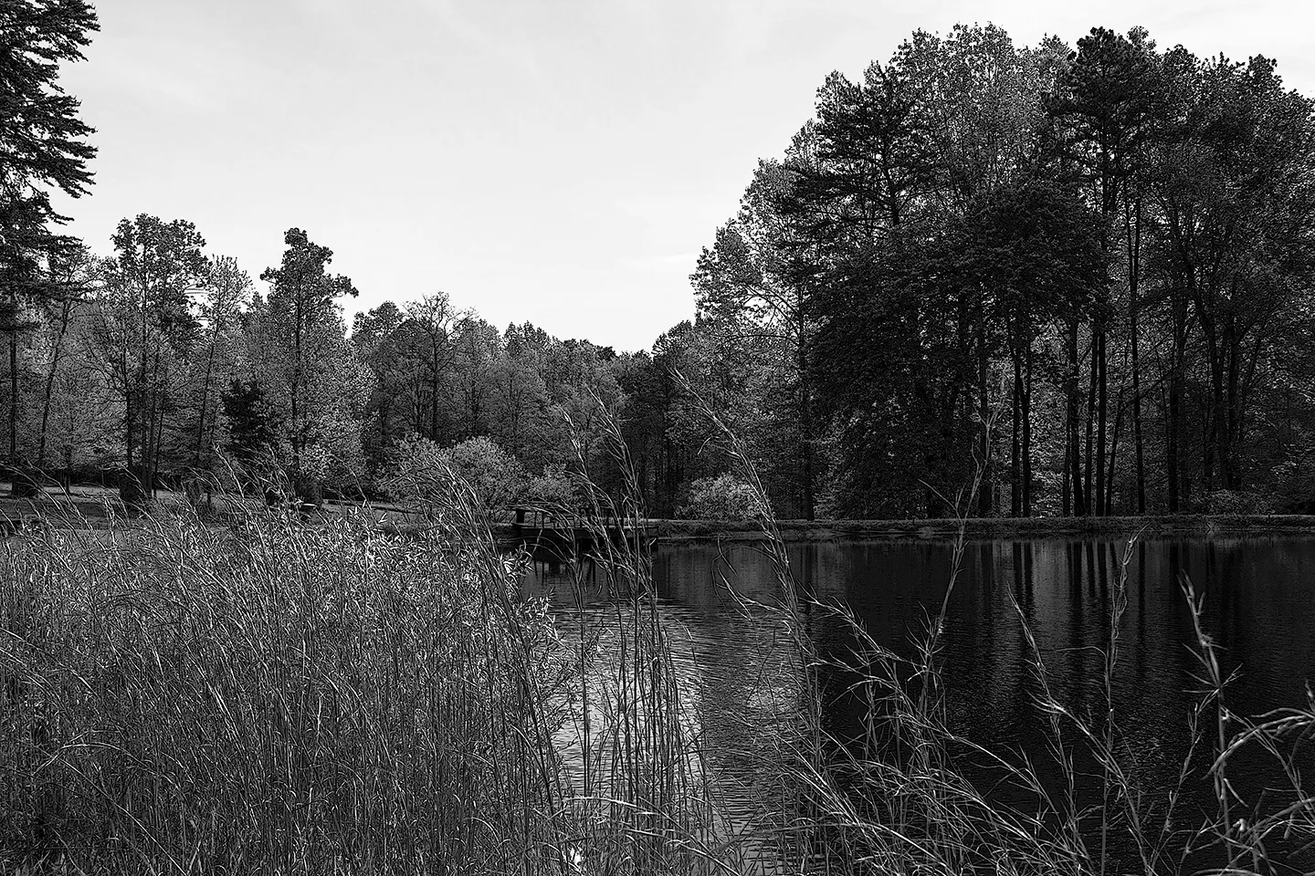 Chandelle 1 B&W