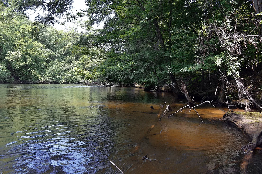 Yadkin-Peedee 19
