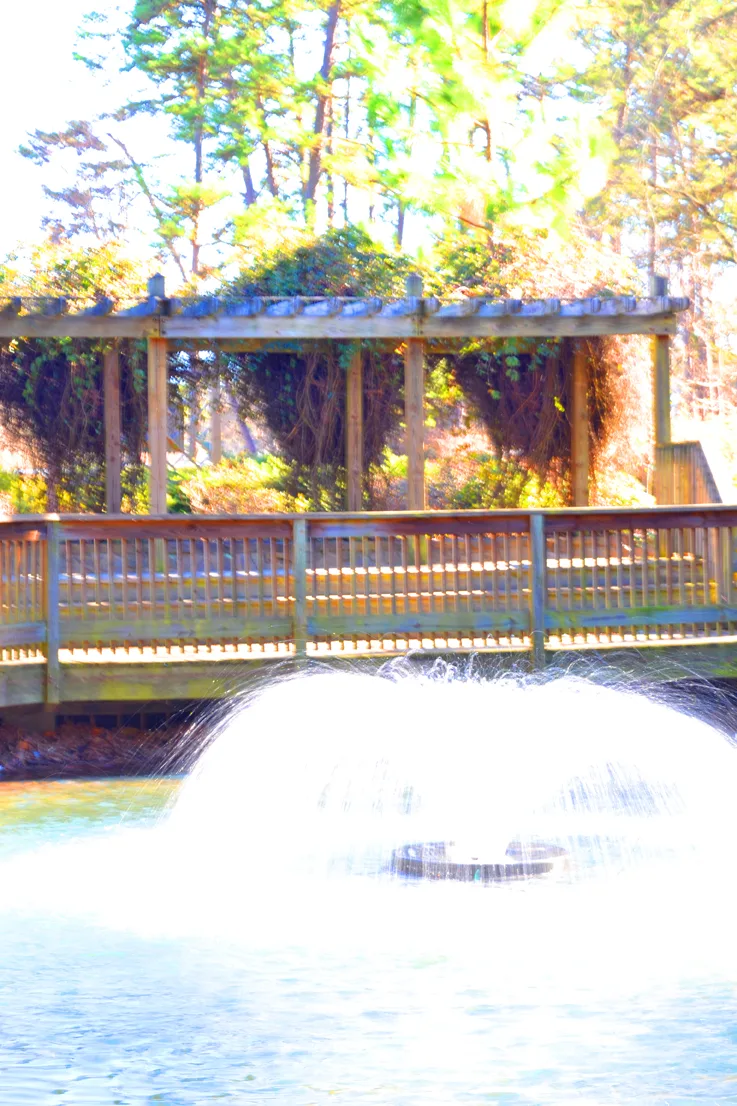 Fountain 8