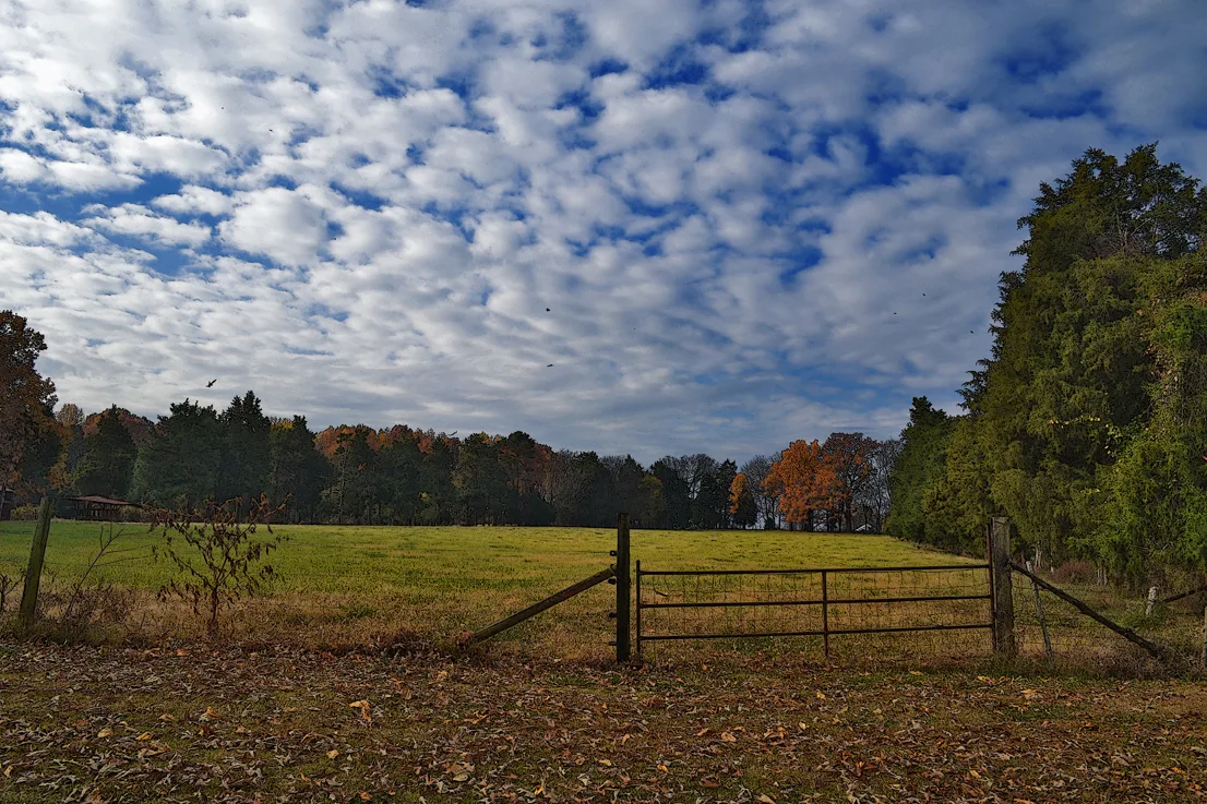 Poteat Field