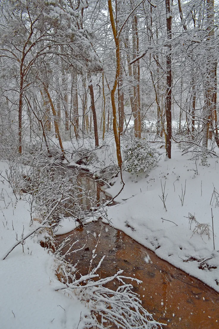 Creek Branch