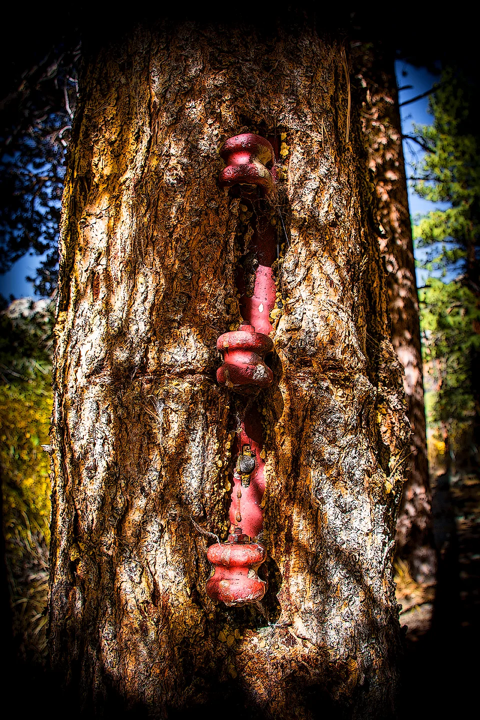 Yosemite 20