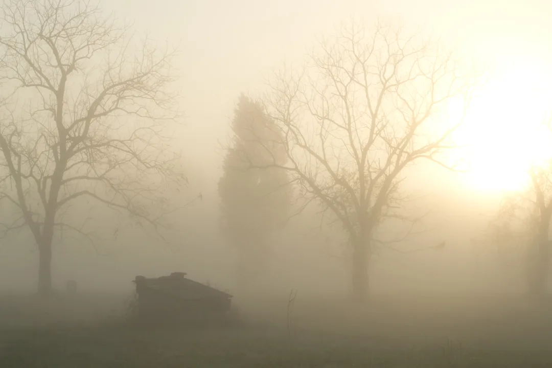 Fog With Pump House