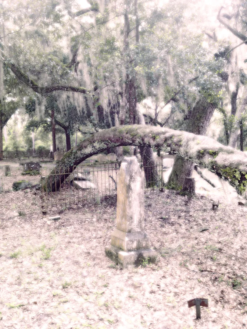 Graveyard 14