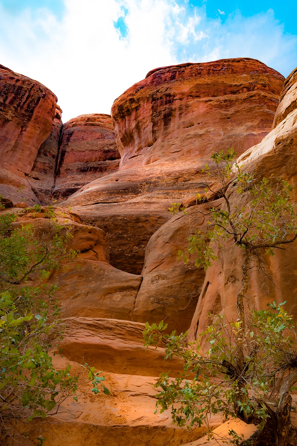Arches 33