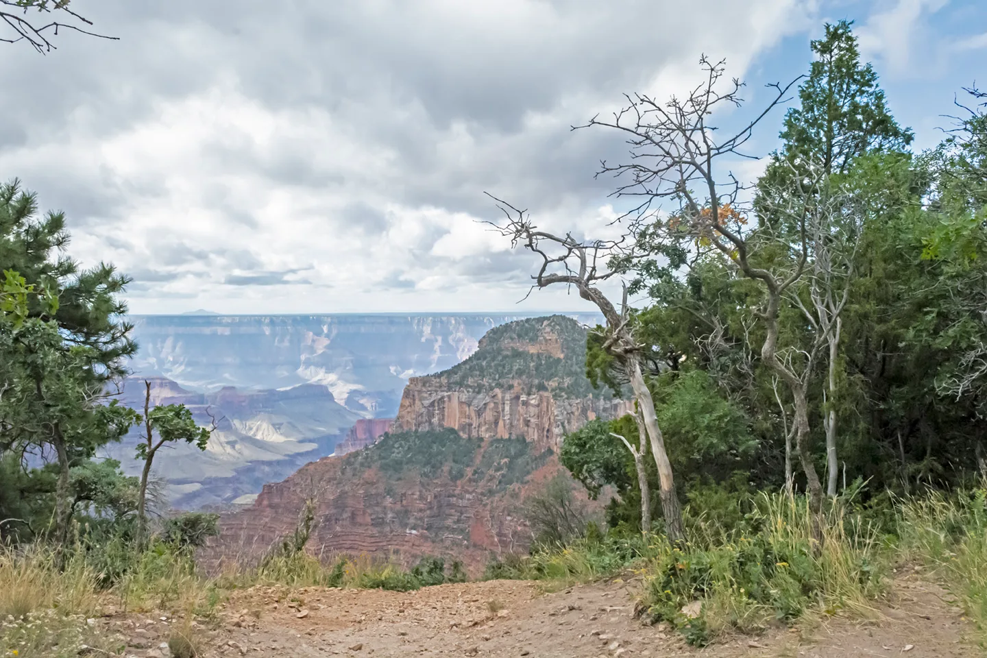 Northrim 19
