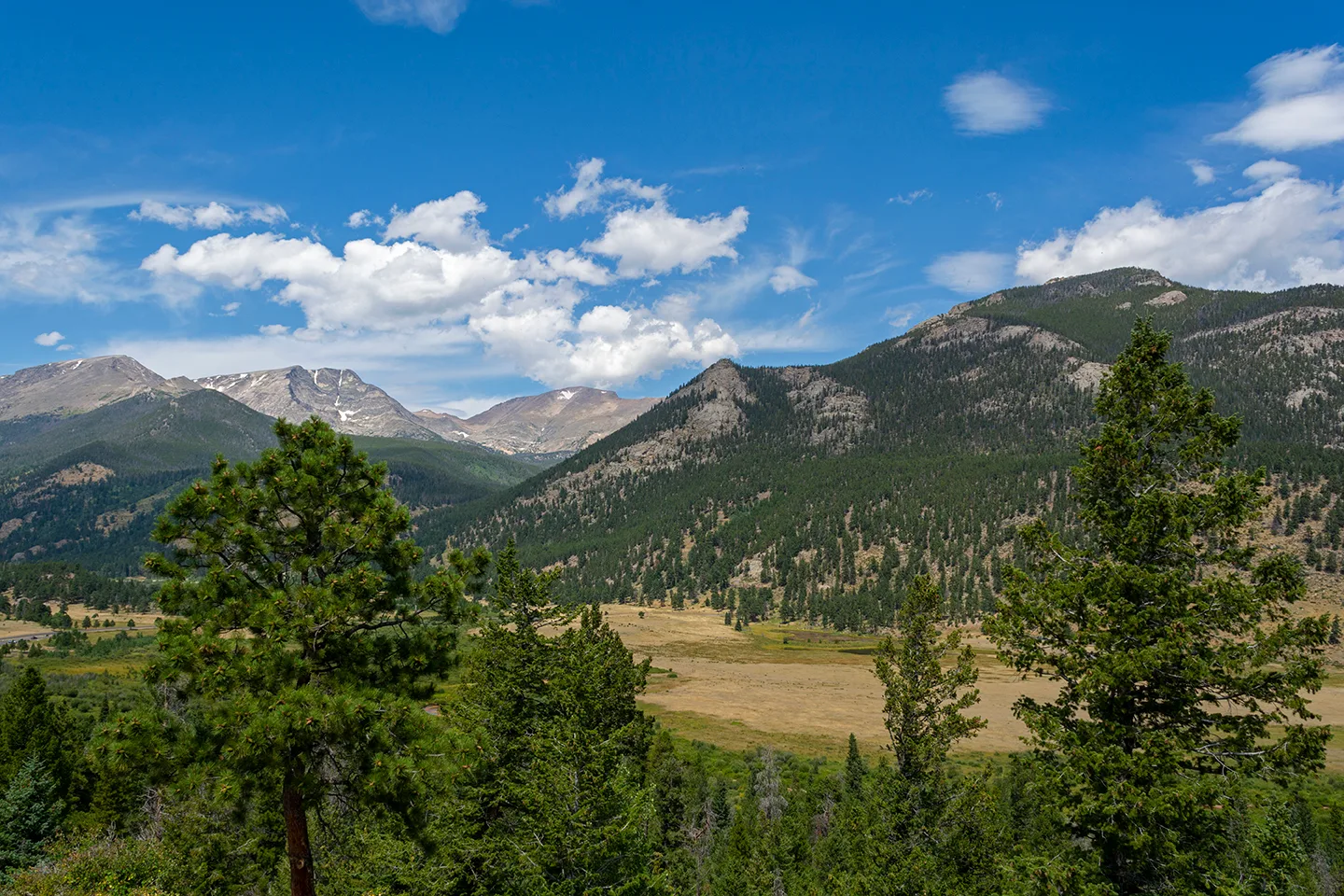 Rockymtn 5