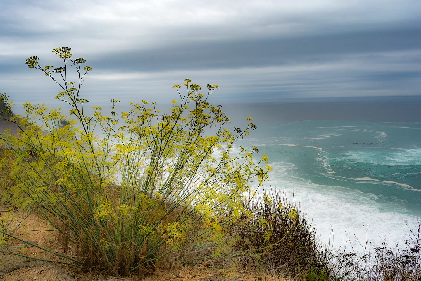 Pacifichighway 19