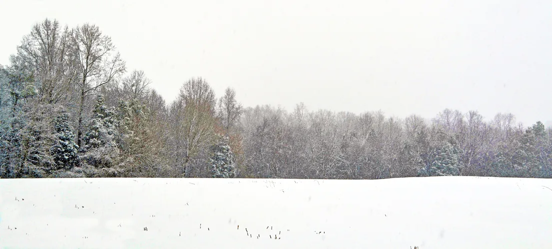 Yard Snow 18