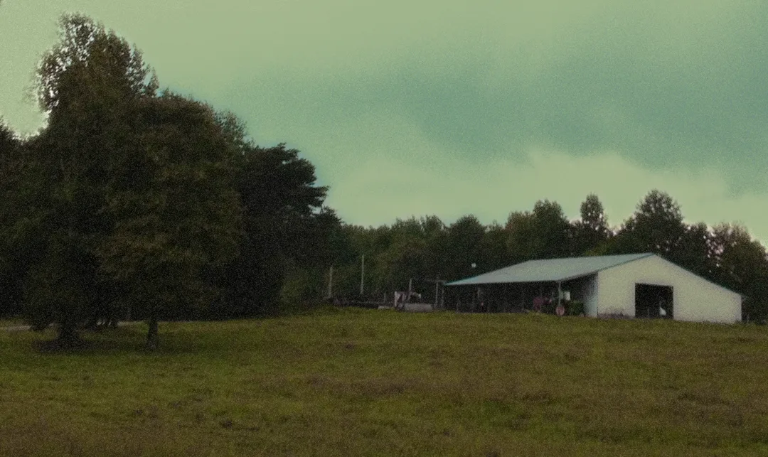 Rachels Farms 4