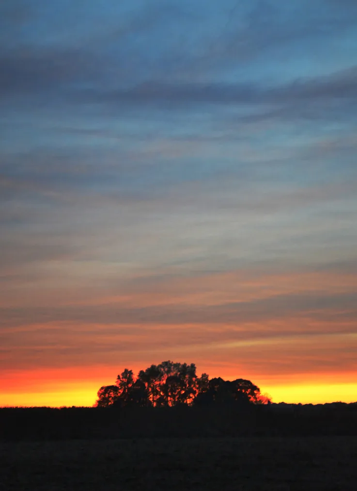 Sunset 6
