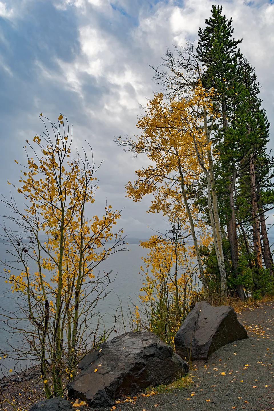 Yellowstone 32