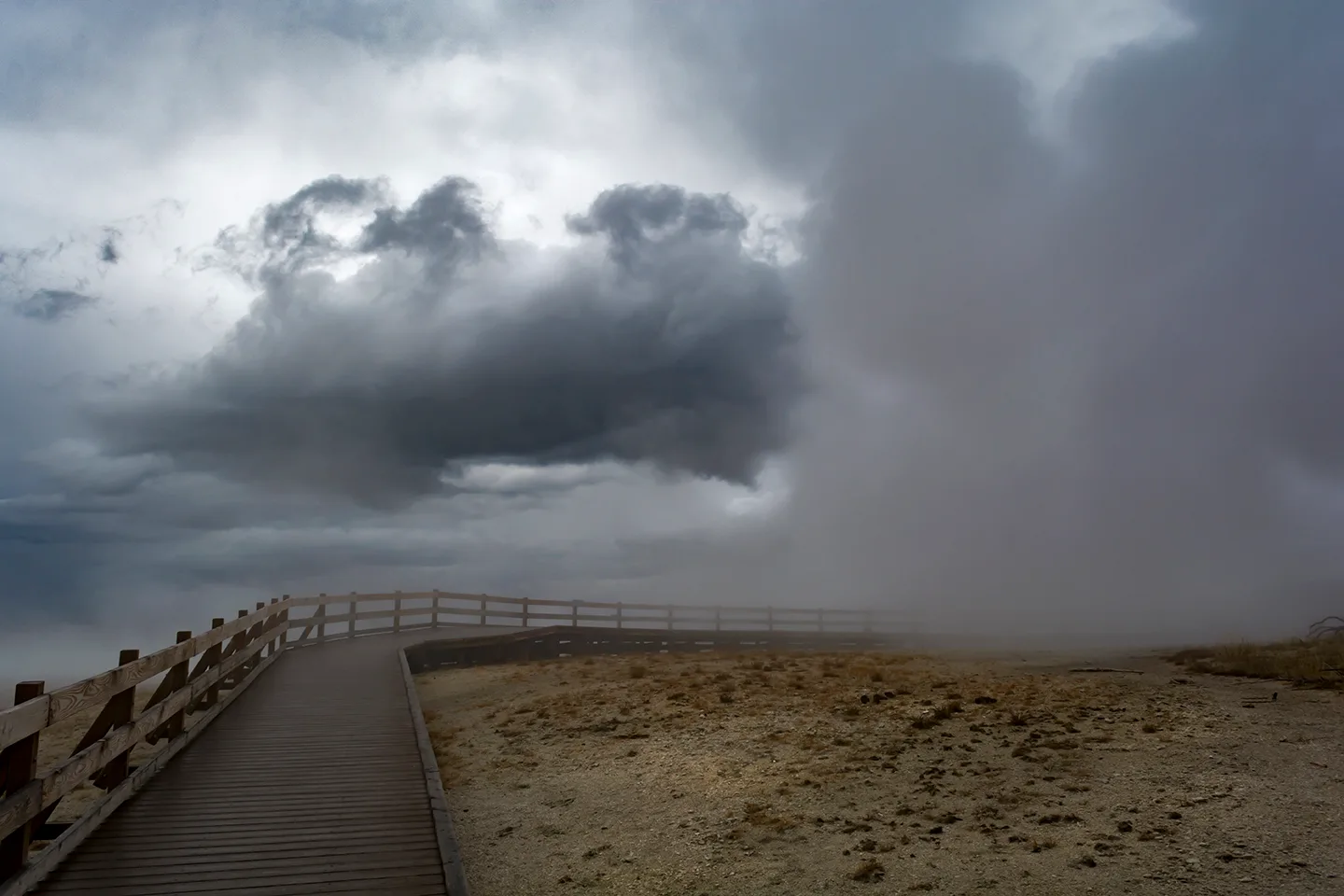 Yellowstone 41