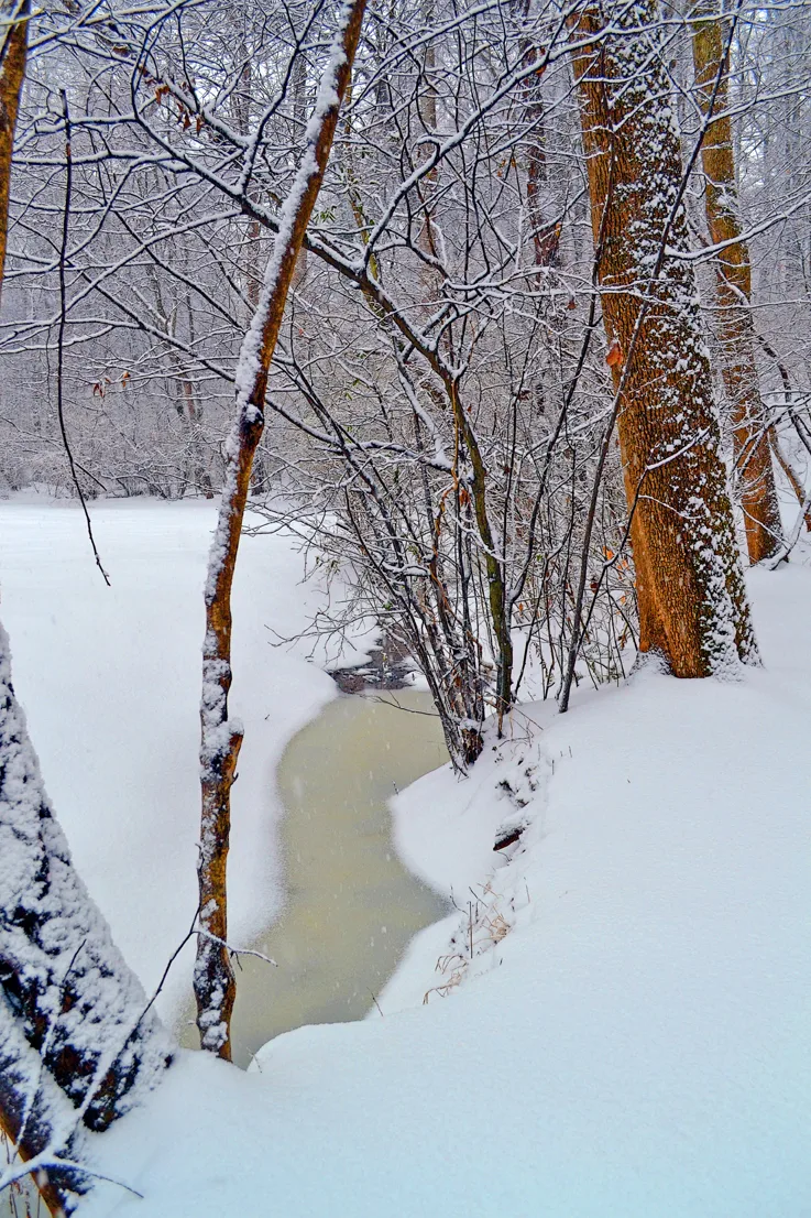 Yard Snow 14
