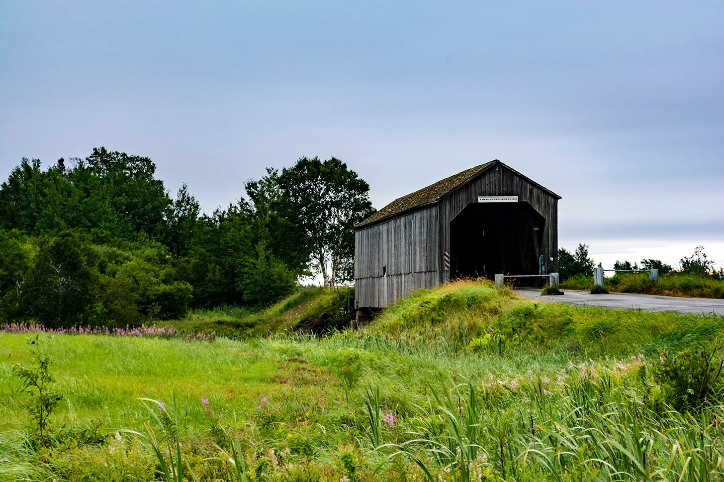 Newbrunswick 3
