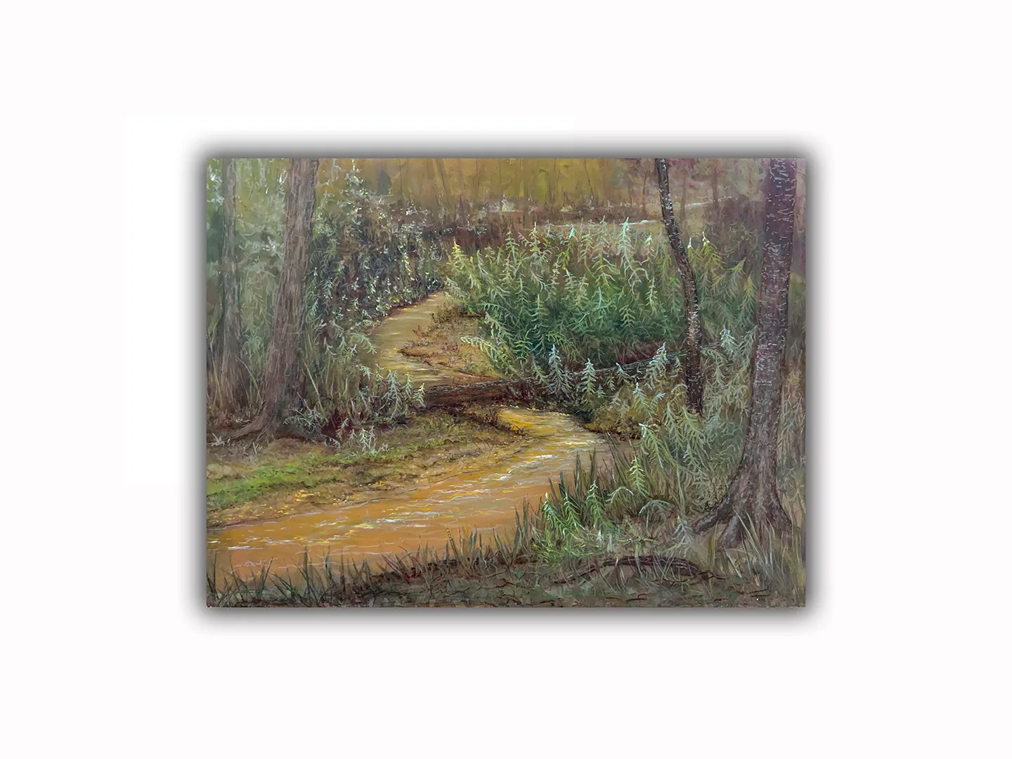 Bethanyscreek 1