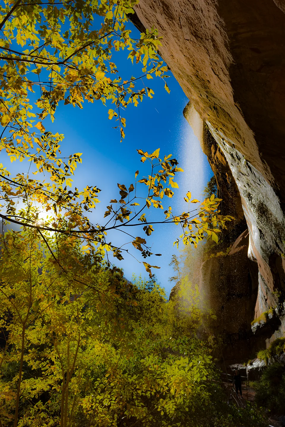 Zion 9