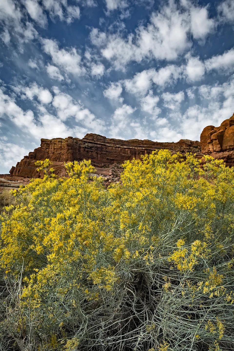 Arches 10