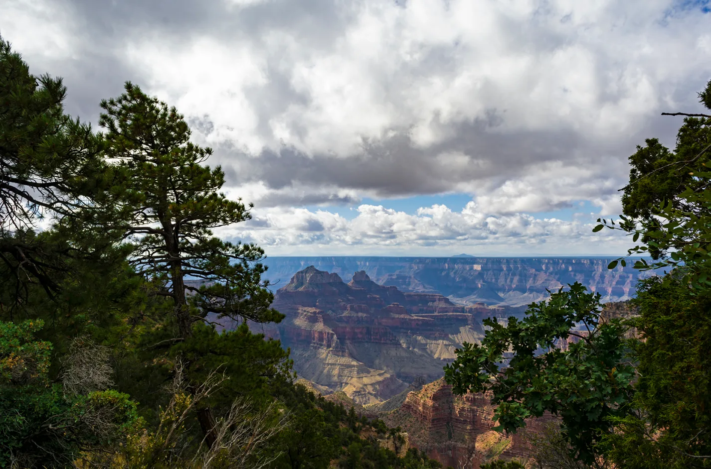 Northrim 26