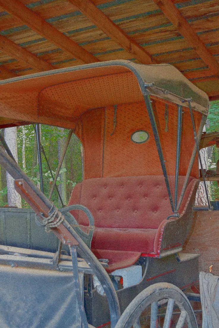 Buggie 2