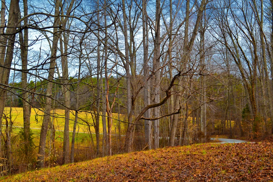 Country Road