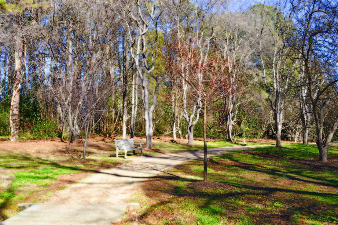 Hurley Park Bench 3