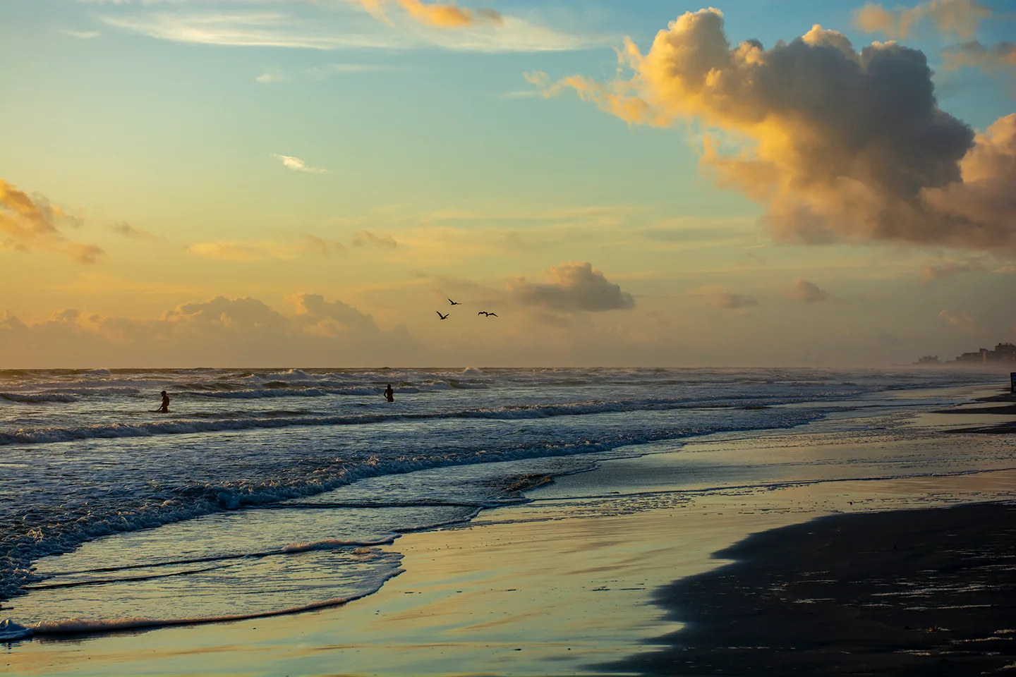 Nsb 18