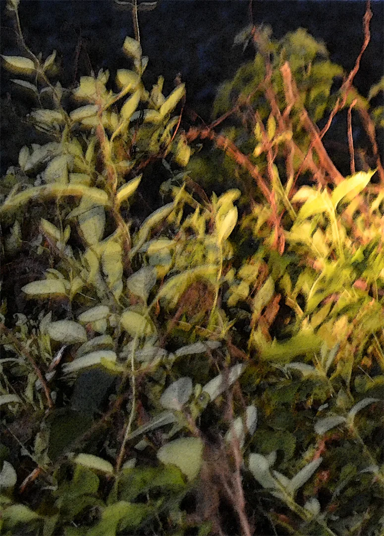 Leaves 2