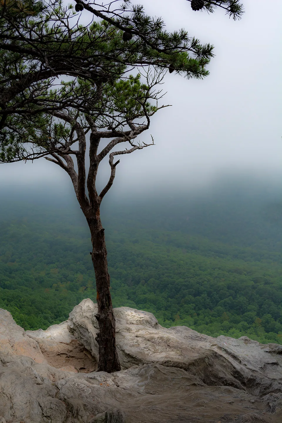 Hangingrock 4