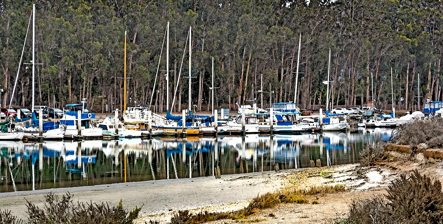 Morrobay 8