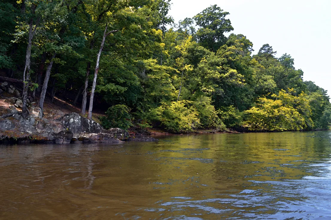 Yadkin-Peedee 9