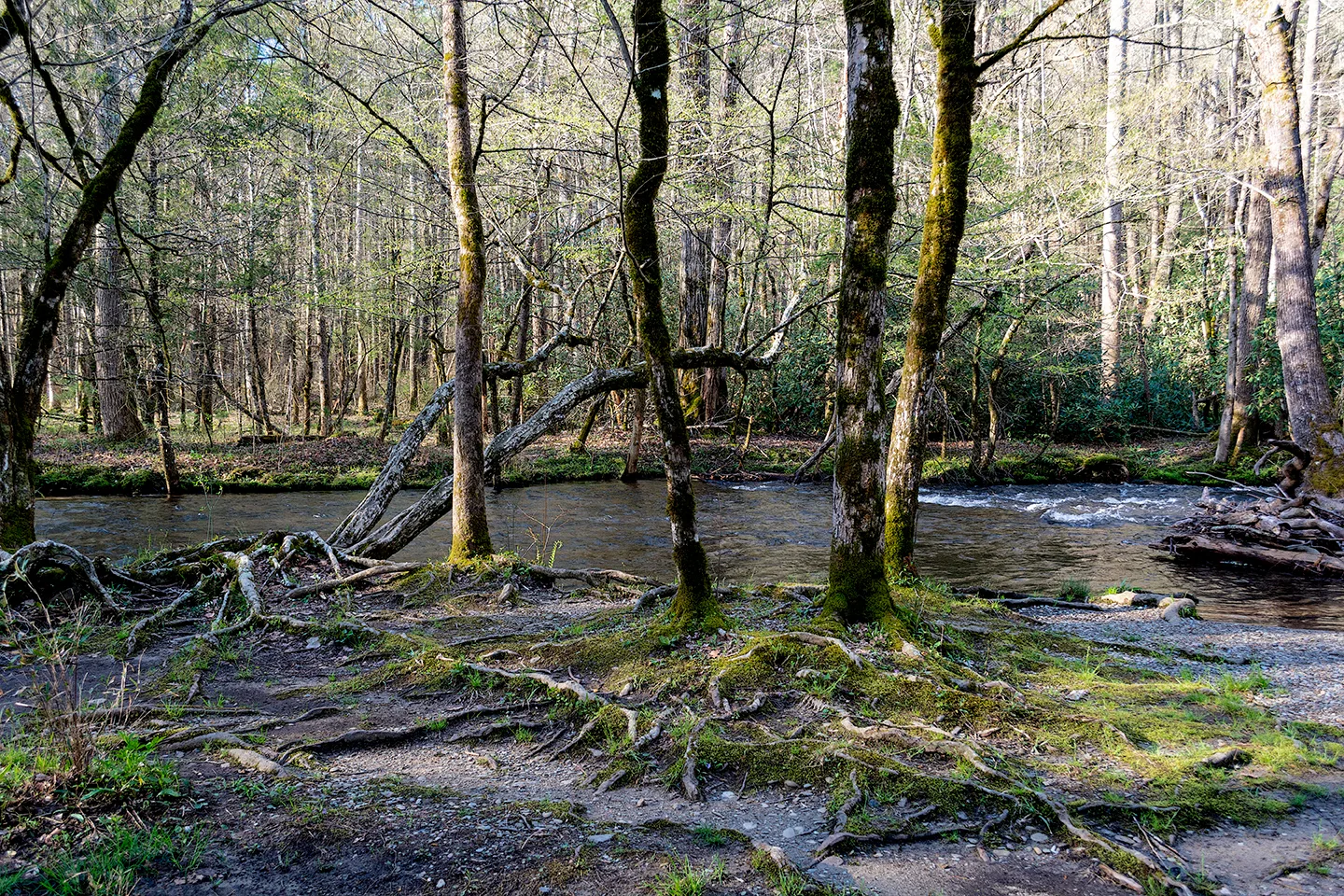 Abramefalls 6