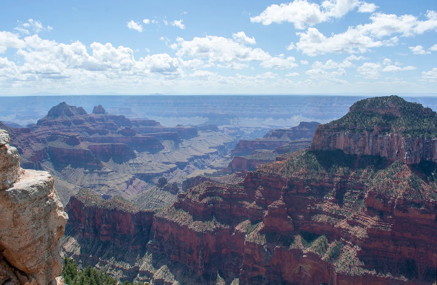 Northrim 1